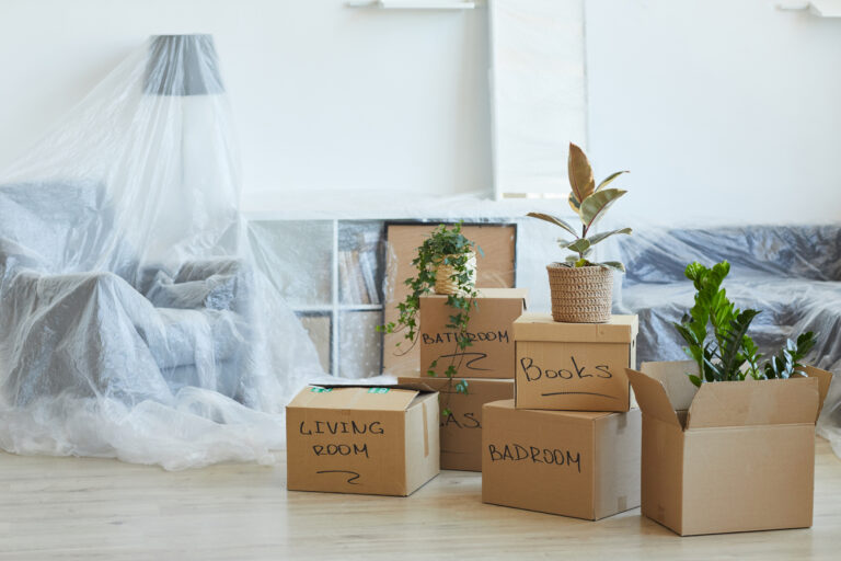 professional packing services edmonton